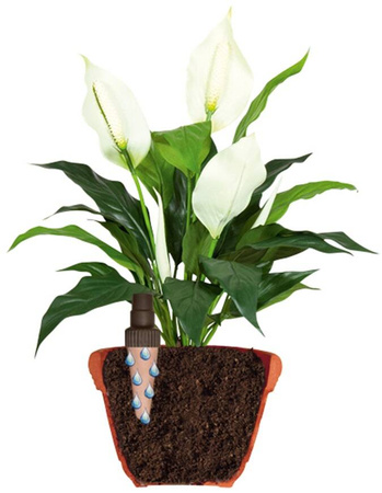 Nawadniacze Autonomiczne Aquago – 2 szt. Jardibric