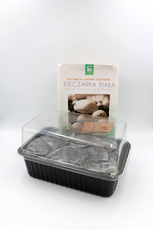 Pieczarka Biała – Zestaw Do Uprawy Grzybów – 3 l Exotic Grow Planto