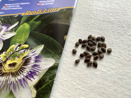 Passiflora Męczennica – Nasiona – Kiepenkerl