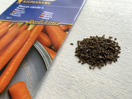 Marchew 'Flyaway' F1 – Odporna – Kiepenkerl