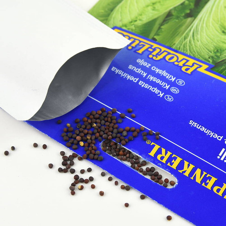 Kapusta Pekińska 'Michihili' F1 – Kiepenkerl