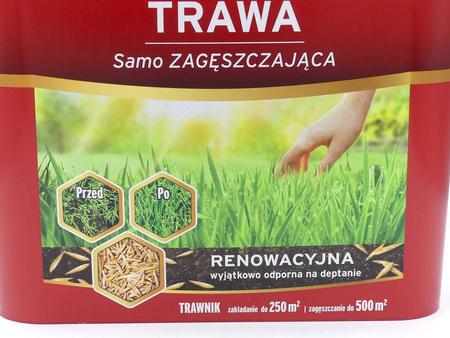 Trawa Samo Zagęszczająca – Renowacyjna – 5 kg Substral