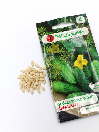 Ogórek Konserwowy ‘Śremski’ F1 – 5 g Legutko