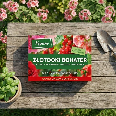 Złotooki bohater Vegano – 600 larw na mszyce, wciornastki, mączliki i wełnowce – 30 m² ochrony