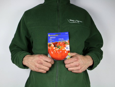 Pomidor Mięsisty ‘Gigantomo’ F1 – Mięsisty – Kiepenkerl