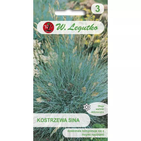 Kostrzewa Sina – Legutko