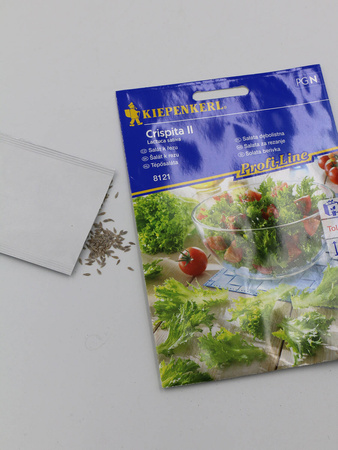 Sałata Dębolistna 'Crispita II' – Kiepenkerl