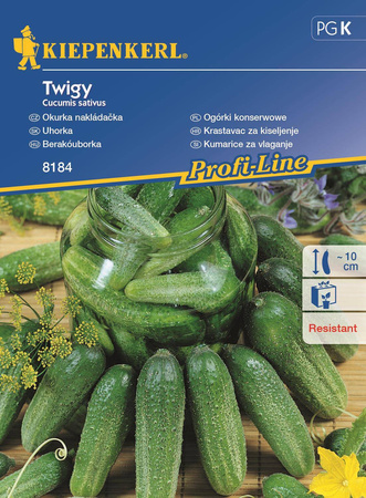Ogórek Gruntowy 'Twigy' F1 – Kiepenkerl