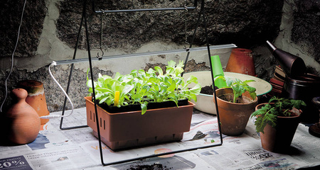 Lampa LED Do Doświetlania Roślin – 39 cm 15W Nelson Garden