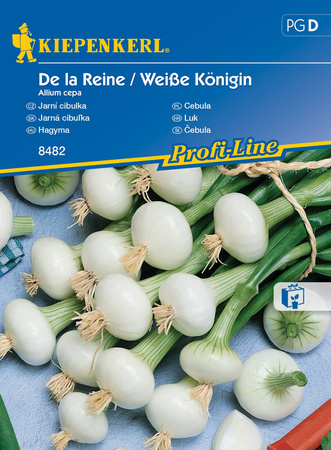 Cebula Wiosenna 'De la Reine' / 'Biała Królowa' – Kiepenkerl