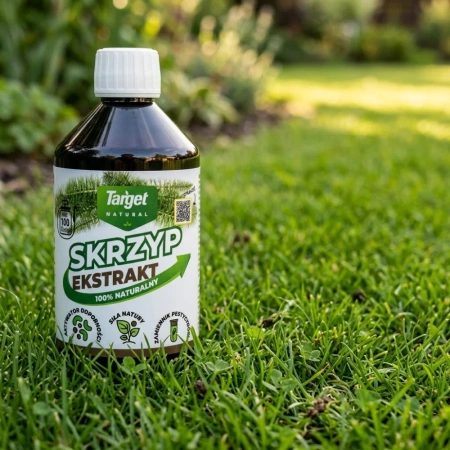 Skrzyp – Ekstrakt – 500 ml Target