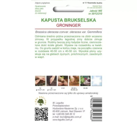 Brukselka Kapusta Brukselska ‘Groninger’ – 1 g Legutko