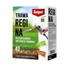Regina – Trawa Regeneracyjna – Do Uzupełniania Ubytków – 1 kg Target