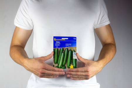 Ogórek Gruntowy 'Tristan' – Kiepenkerl