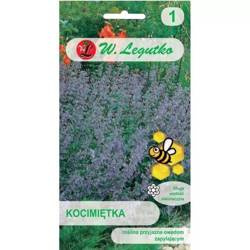 Kocimiętka – Legutko