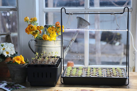 Lampa LED Do Doświetlania Roślin – 39 cm 15W Nelson Garden