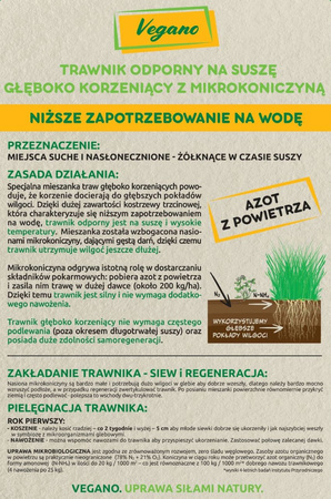 Trawnik odporny na suszę – nasiona traw z mikrokoniczyną 1 kg Vegano