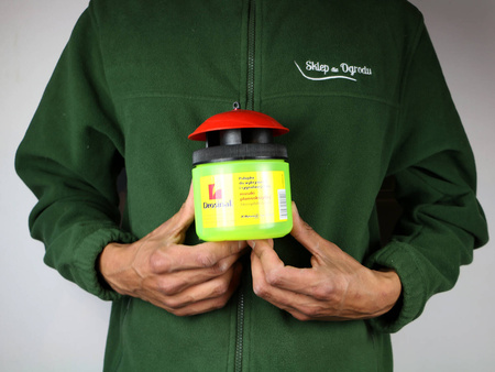 Pułapka – Na Muszkę Plamoskrzydłą – Drosinal