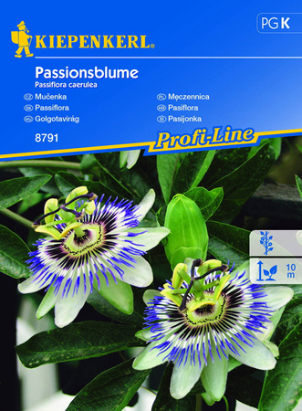Passiflora Męczennica – Nasiona – Kiepenkerl