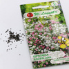  Gipsówka Rozesłana – Mix Kolorów – Legutko