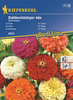 Cynia – Mix Nasion – Kiepenkerl