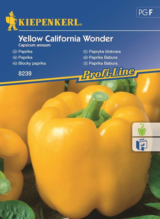 Papryka 'Yellow California Wonder' – Kiepenkerl