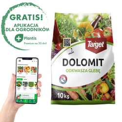 Dolomit – Nawóz Odkwaszajacy Glebę – 10 kg Target