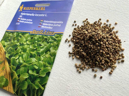 Roszponka Vit – Kiepenkerl