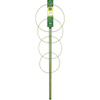 Podpora Pierścieniowa Do Roślin – wys. 100 cm