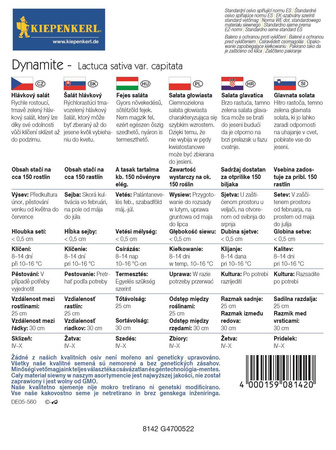 Sałata Masłowa 'Dynamite' – Odporna – Kiepenkerl