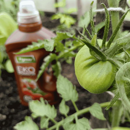 Ekopomidor Vegano – Naturalny Nawóz Ekologiczny 1 l