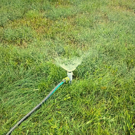 Zraszacz statyczny szpilka Green Star