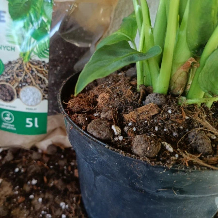 Żywe podłoże do monstery, filodendronów i roślin tropikalnych z dodatkiem Wermihumusu Vegano - 15 l (3 x 5 l)
