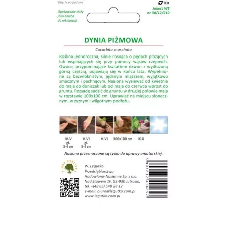 Dynia Piżmowa 'Butternut' – 2 g Legutko 