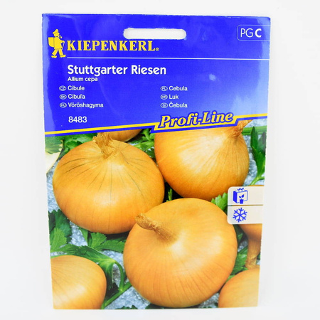 Cebula 'Stuttgarter Riesen' – Nasiona Kiepenkerl