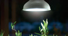 Żarówka LED Do Doświetlania Roślin – E27 18W Nelson Garden