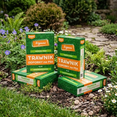 Trawnik odporny na psa – nasiona traw z mikrokoniczyną 4 kg Vegano