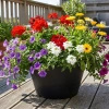 Doniczka czarna OCTAVIA 30x15cm Multy Home
