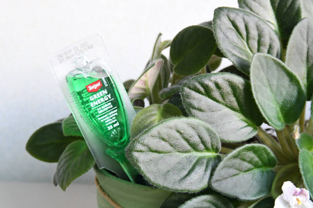 Odżywka Aplikator Do Zielonych – Green Energy – 35 ml Target