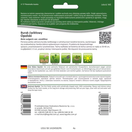 Burak Ćwikłowy 'Opolski' nasiona na taśmie – 6 m Legutko