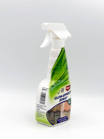 Glon-Effect Spray – Na Glony i Porosty – 500 ml Target