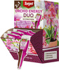 Orchid Energy DUO 2w1 odżywka do storczyków – 35 ml Target
