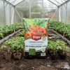 Ziemia Podłoże Do Pomidorów i Ziół – Domowa Plantacja – 20 l Target