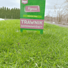Trawnik samonawożący – nasiona traw z mikrokoniczyną 1 kg Vegano