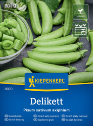 Groch Cukrowy 'Delikett' – Kiepenkerl