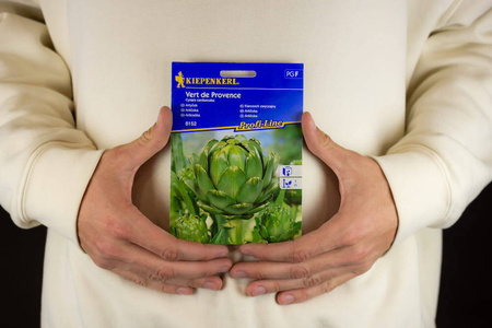 Karczoch 'Vert de Provence' – Wieloletni – Kiepenkerl