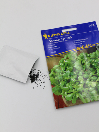 Portulaka Pospolita 'Sommerportulak' – Kiepenkerl