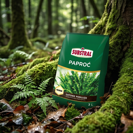 Podłoże do paproci – ziemia do paprotek – 3 l Substral (Zestaw 2 szt.)