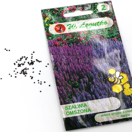 Szałwia Omszona – 0,10 g Legutko