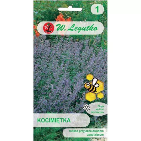  Kocimiętka – Legutko